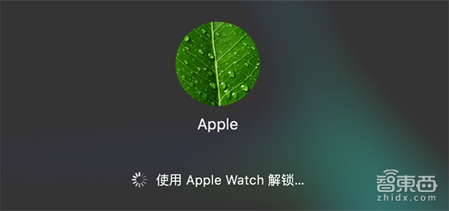 苹果watch2功能介绍（apple watch2功能详解）