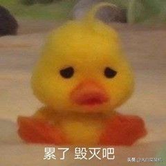 手机内存不足怎样清理最彻底？应该如何处理？删除这5个文件夹就够了