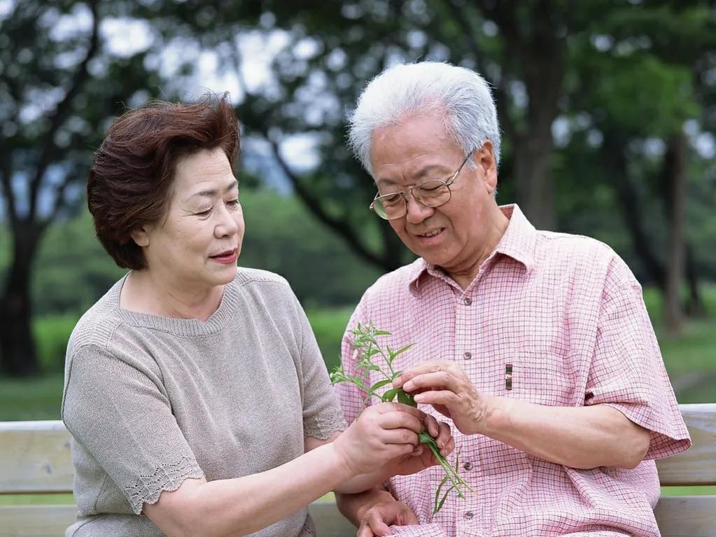 什么菜补充蛋白质？中老年人要补蛋白质的3道菜