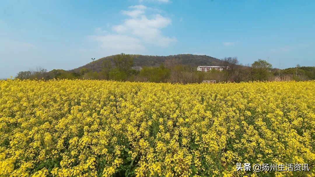 扬州旅游景点攻略（烟花三月下扬州）