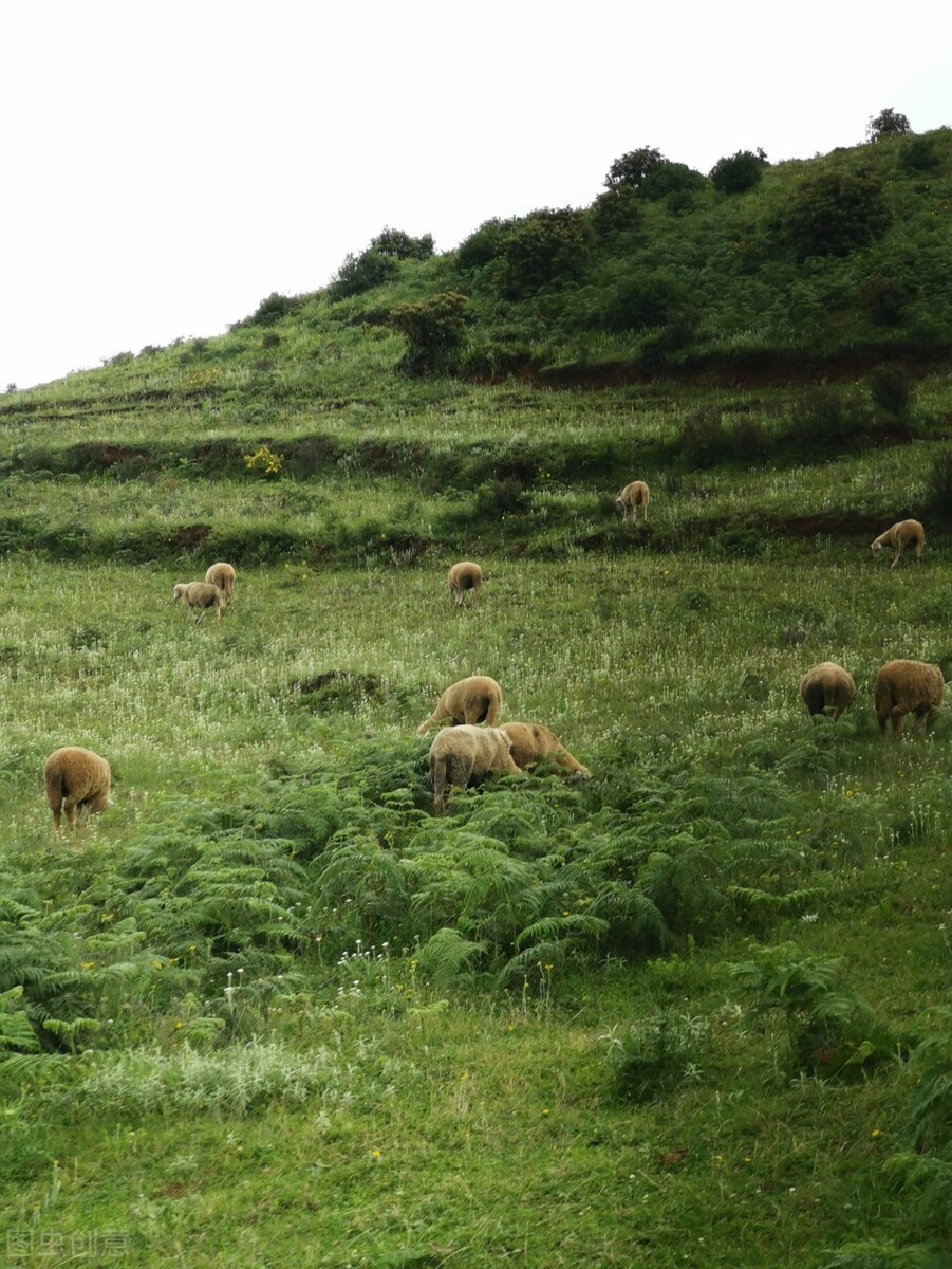 5一6月旅游国内最佳地（中国这4个地方好玩绝美）