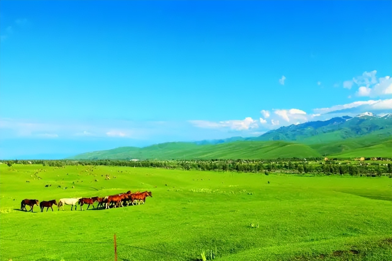 新疆最佳旅游季节一览表（五月新疆最佳旅行地出炉）