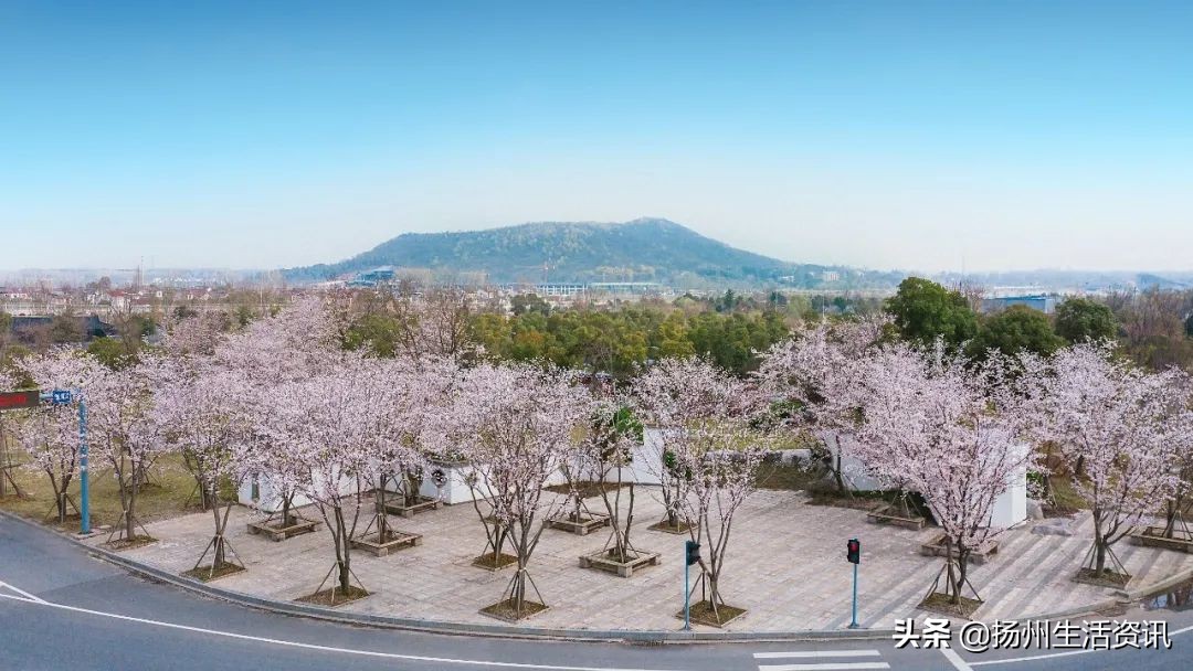 扬州旅游景点攻略（烟花三月下扬州）