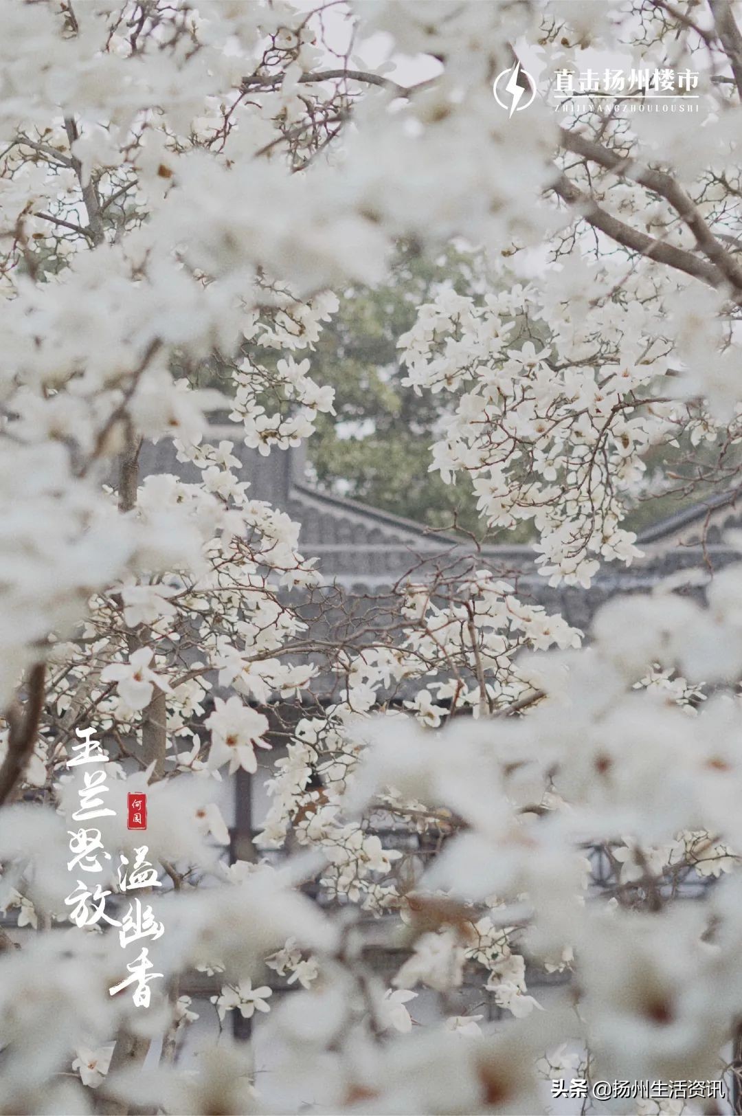 扬州旅游景点攻略（烟花三月下扬州）