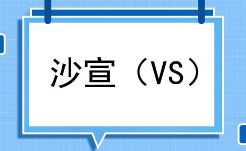 沙宣（VS）