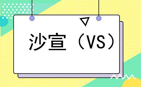 沙宣（VS）