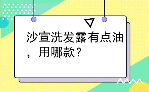 沙宣洗发露有点油，用哪款？