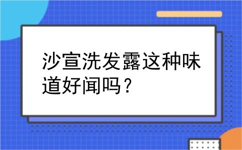 沙宣洗发露这种味道好闻吗？