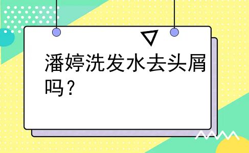 潘婷洗发水去头屑吗？