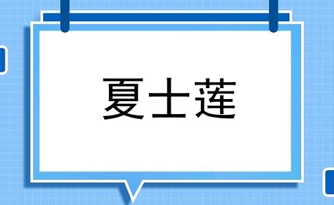 夏士莲