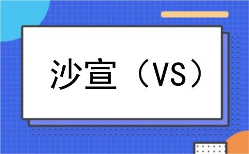 沙宣（VS）