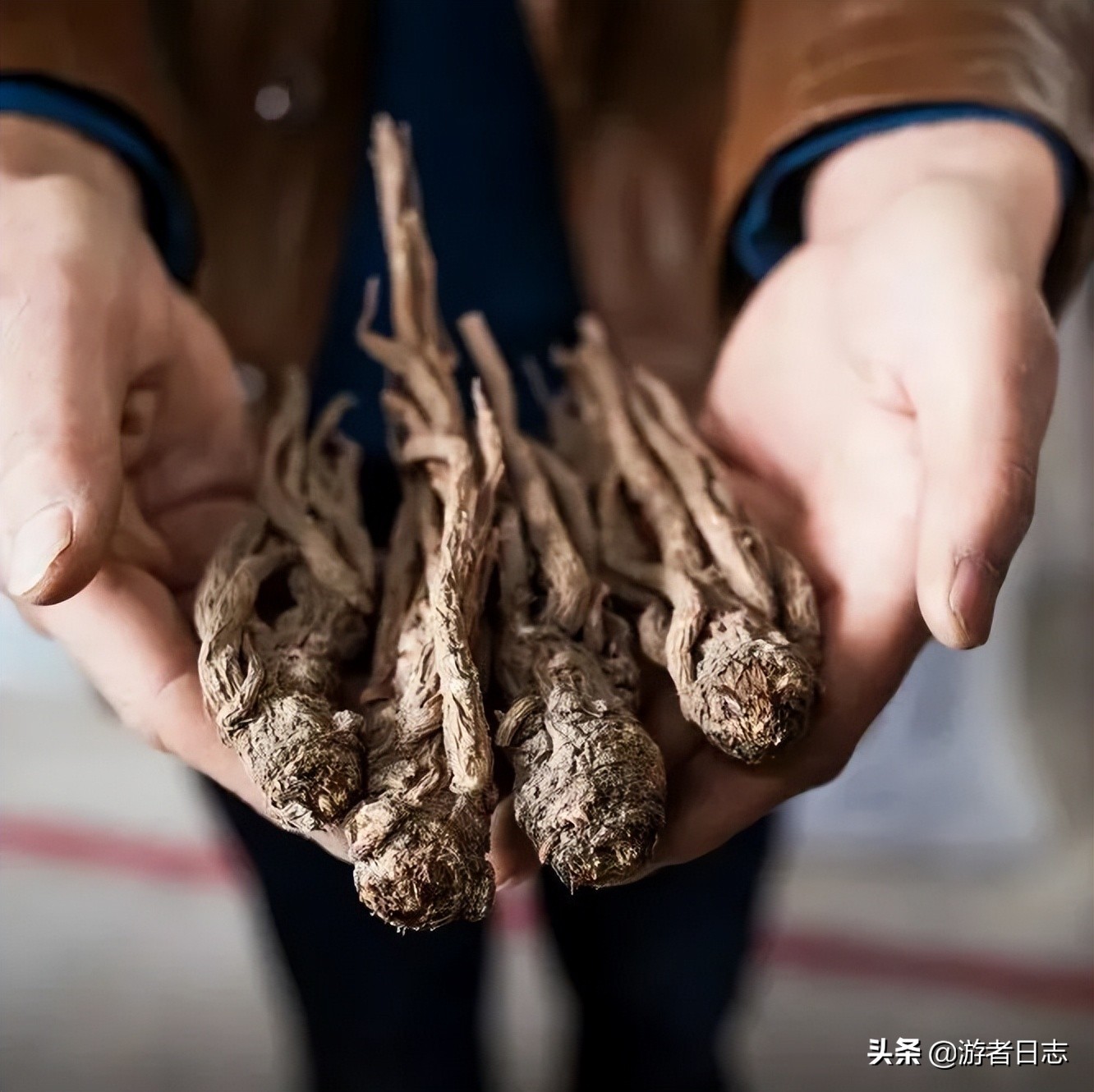 到定西一定要吃的美食，去定西可以吃什么美食，来这里看答案