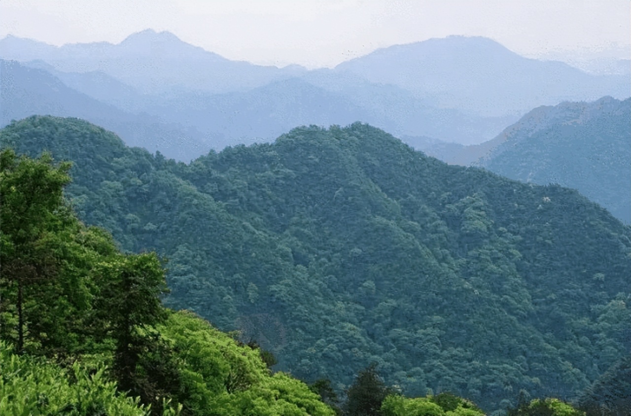 祁门红茶推荐，四季黄山相约春天|高香的祁门红茶，一杯饮尽北纬30°的湖光山色