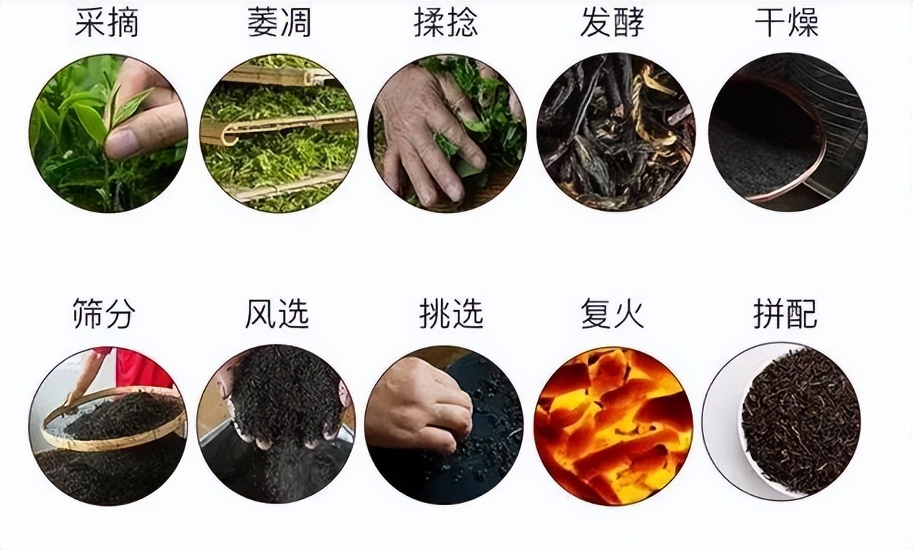 祁门红茶推荐，四季黄山相约春天|高香的祁门红茶，一杯饮尽北纬30°的湖光山色