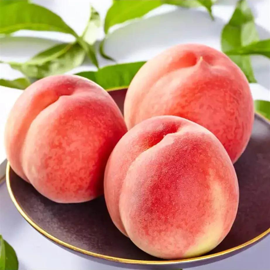 常见桃子推荐，10种常见的桃子，风味各异！最后一种有人尝过吗？