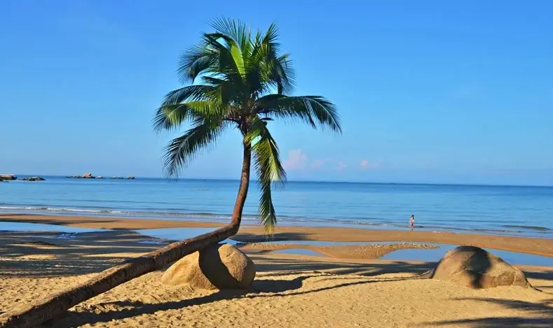 海南必吃的美食推荐，去海南旅游，10道不得不吃的特色美食