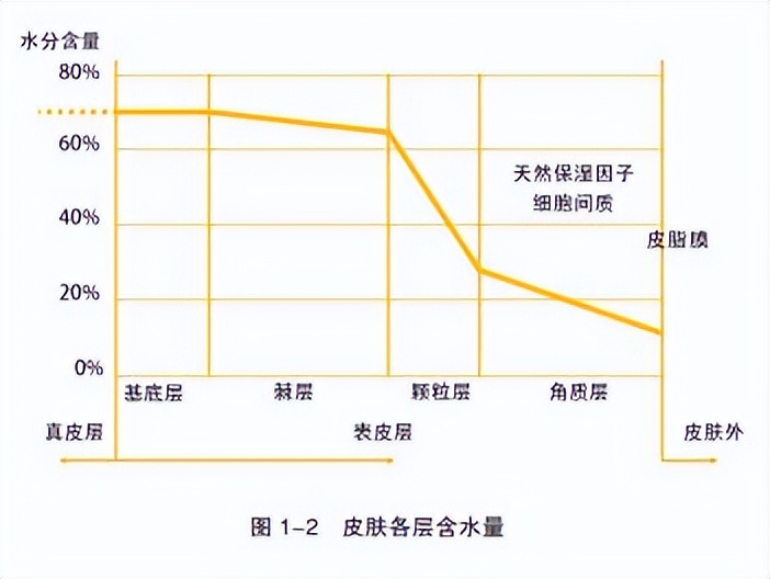 贴片面膜真的有用吗（什么是贴片面膜）