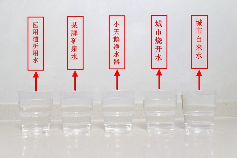 小天鹅有净水机吗（小天鹅净水机）