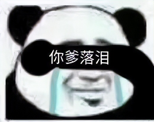 网线分线器和交换机区别（路由器交换机集线器网桥的区别）