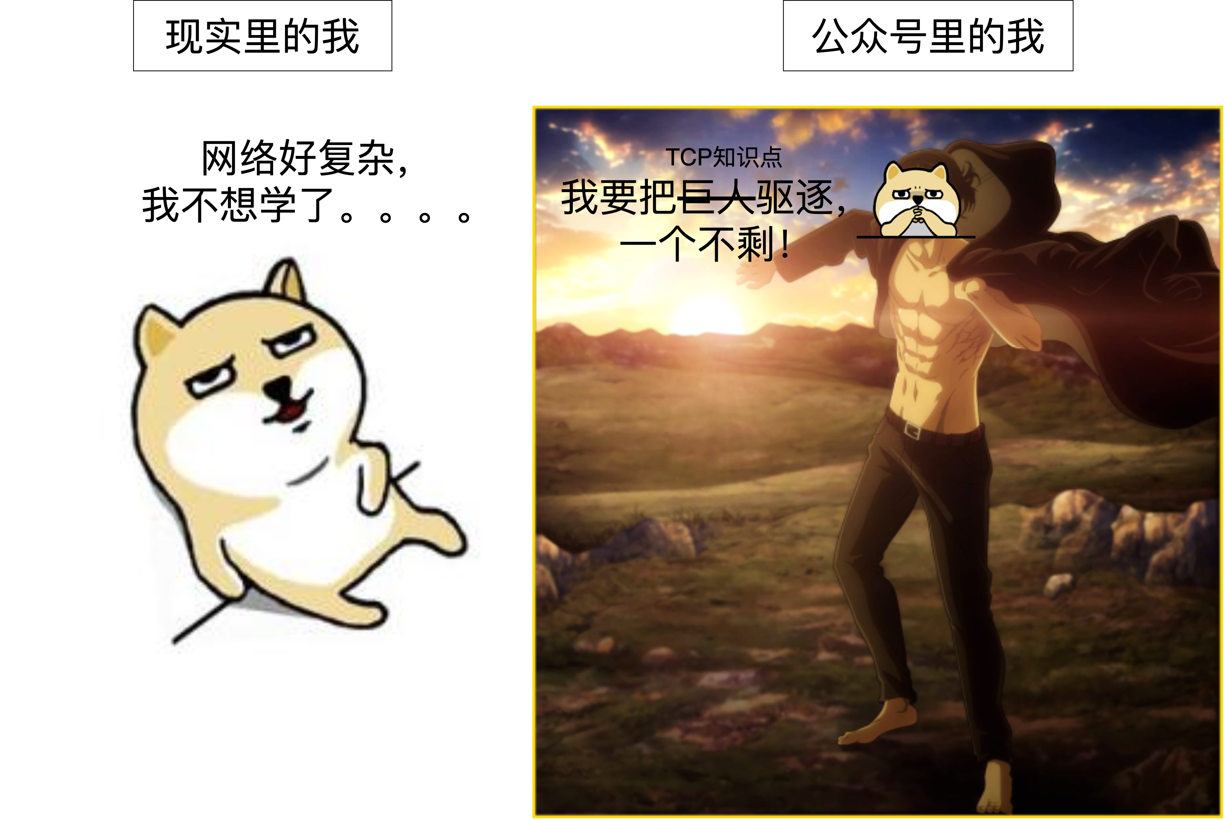 网线分线器和交换机区别（路由器交换机集线器网桥的区别）