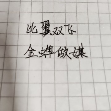 a天天向上啊