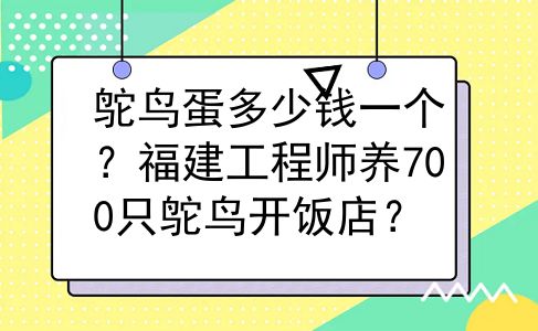 鸵鸟蛋多少钱一个？福建工程师养700只鸵鸟开饭店？