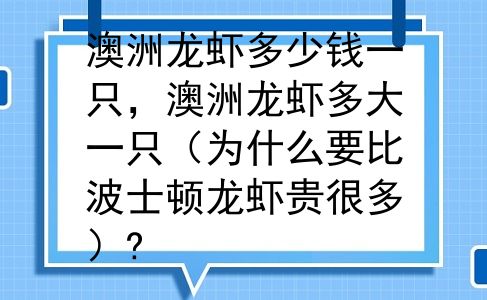 澳洲龙虾多少钱一只，澳洲龙虾多大一只（为什么要比波士顿龙虾贵很多）?