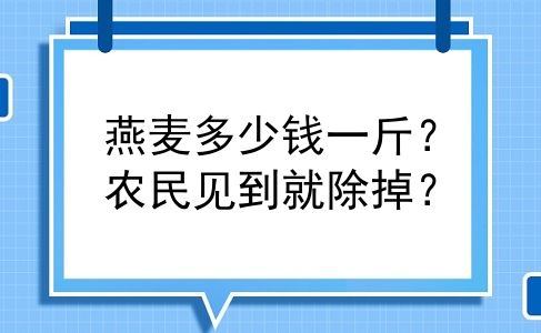 燕麦多少钱一斤？农民见到就除掉？