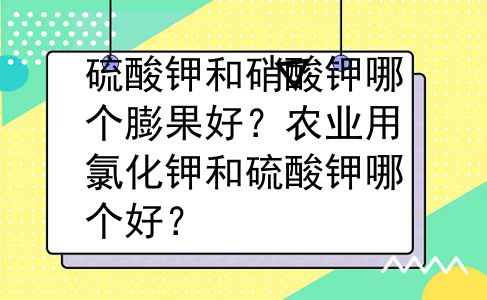 硫酸钾和硝酸钾哪个膨果好？农业用氯化钾和硫酸钾哪个好？