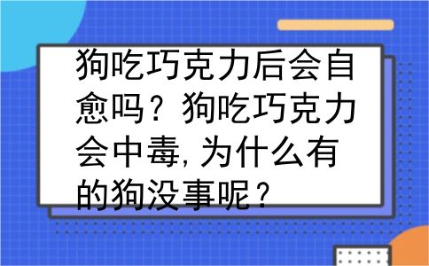 狗吃巧克力后会自愈吗？狗吃巧克力会中毒,为什么有的狗没事呢？