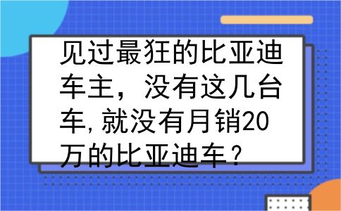 见过最狂的比亚迪车主，没有这几台车,就没有月销20万的比亚迪车？