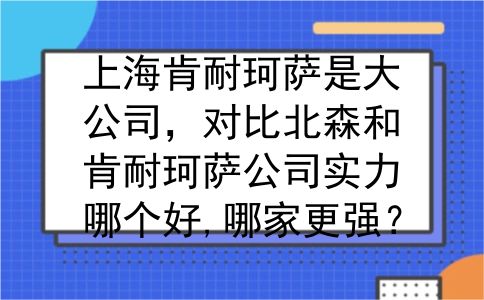 上海肯耐珂萨是大公司，对比北森和肯耐珂萨公司实力哪个好,哪家更强？