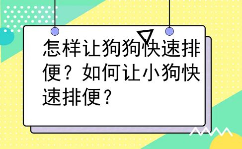 怎样让狗狗快速排便？如何让小狗快速排便？