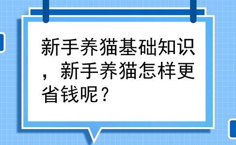 新手养猫基础知识，新手养猫怎样更省钱呢？