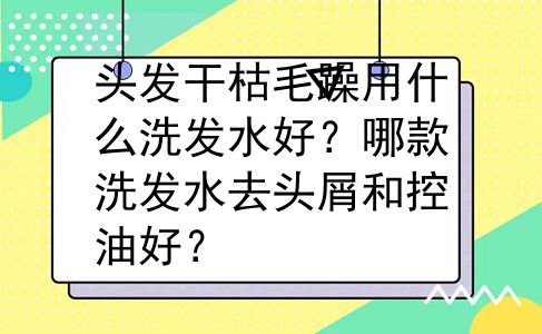 头发干枯毛躁用什么洗发水好？哪款洗发水去头屑和控油好？