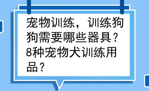 宠物训练，训练狗狗需要哪些器具？8种宠物犬训练用品？