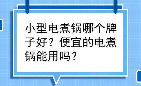 小型电煮锅哪个牌子好？便宜的电煮锅能用吗？