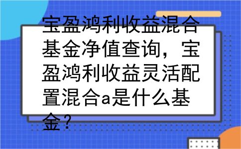 宝盈鸿利收益混合基金净值查询，宝盈鸿利收益灵活配置混合a是什么基金？