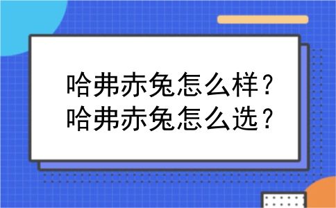 哈弗赤兔怎么样？哈弗赤兔怎么选？