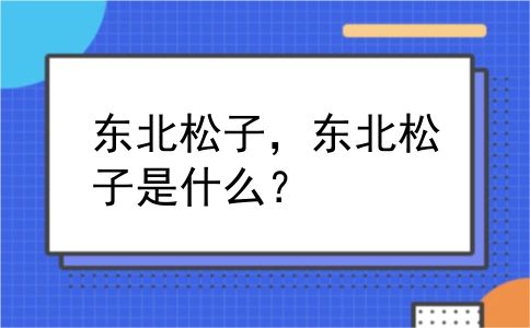 东北松子，东北松子是什么？