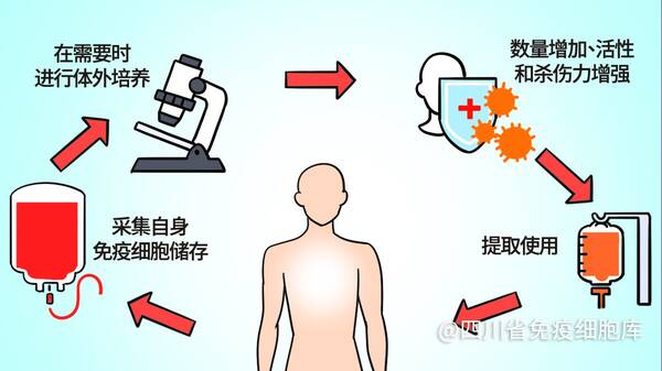 头发一根多少钱（一根头发值25块）