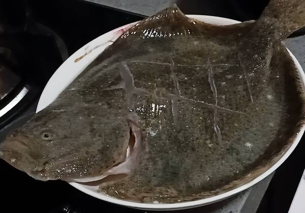 多宝鱼多少钱一斤活的多宝鱼多少钱一斤花43块钱买了1条