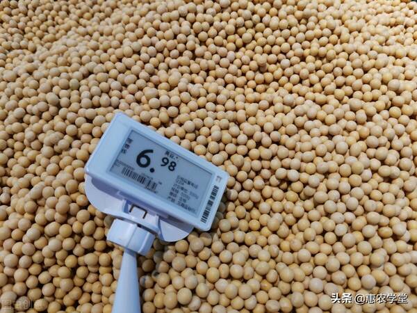 现在黄豆多少钱一斤，黄豆多少钱一斤（2021年8月大豆多少钱一斤）