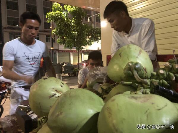 椰子多少钱一个，北方椰子多少钱一个（去海南的靠前件事就是想买一个椰子）?