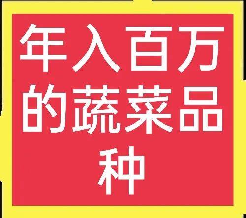 西葫芦多少钱一斤，一个西葫芦大约多少钱（种在地里的香蕉西葫芦）?