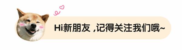 拉布拉多狗多少钱一只，棕色拉布拉多多少钱一只（为何却越来越少人养）