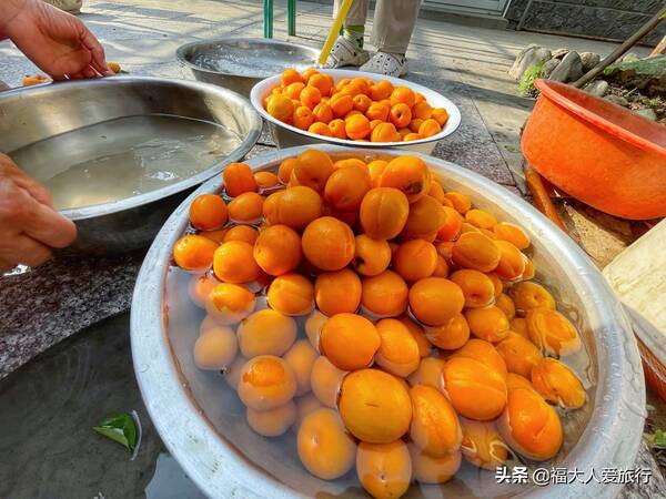 杏干多少钱一斤，铜多少钱一斤（几毛钱一斤的杏子自制零食果干）?