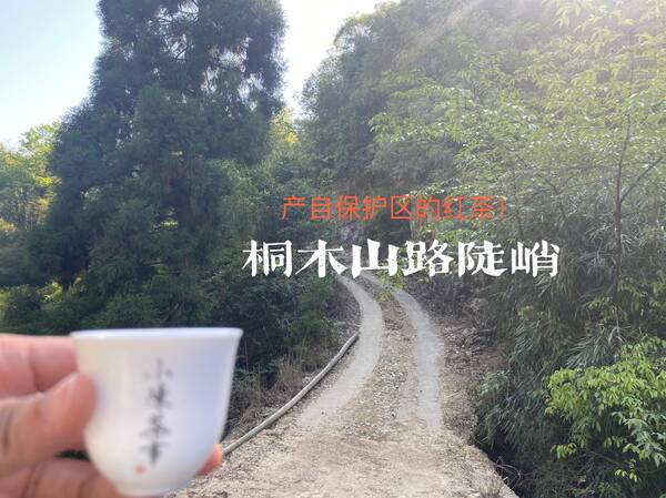 100块一两的红茶怎么样？100元、1000元、10000元，都是红茶，它们价格差在了哪里？