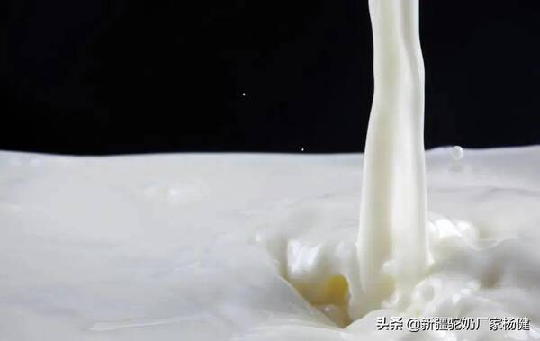 相比牛奶,驼奶为什么价格更贵呢？相比牛奶，驼奶为什么价格更贵？
