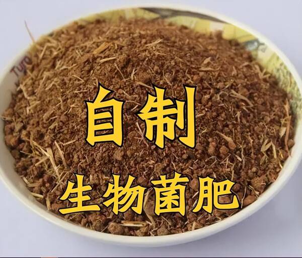 菌肥，菌肥制作的技术关键